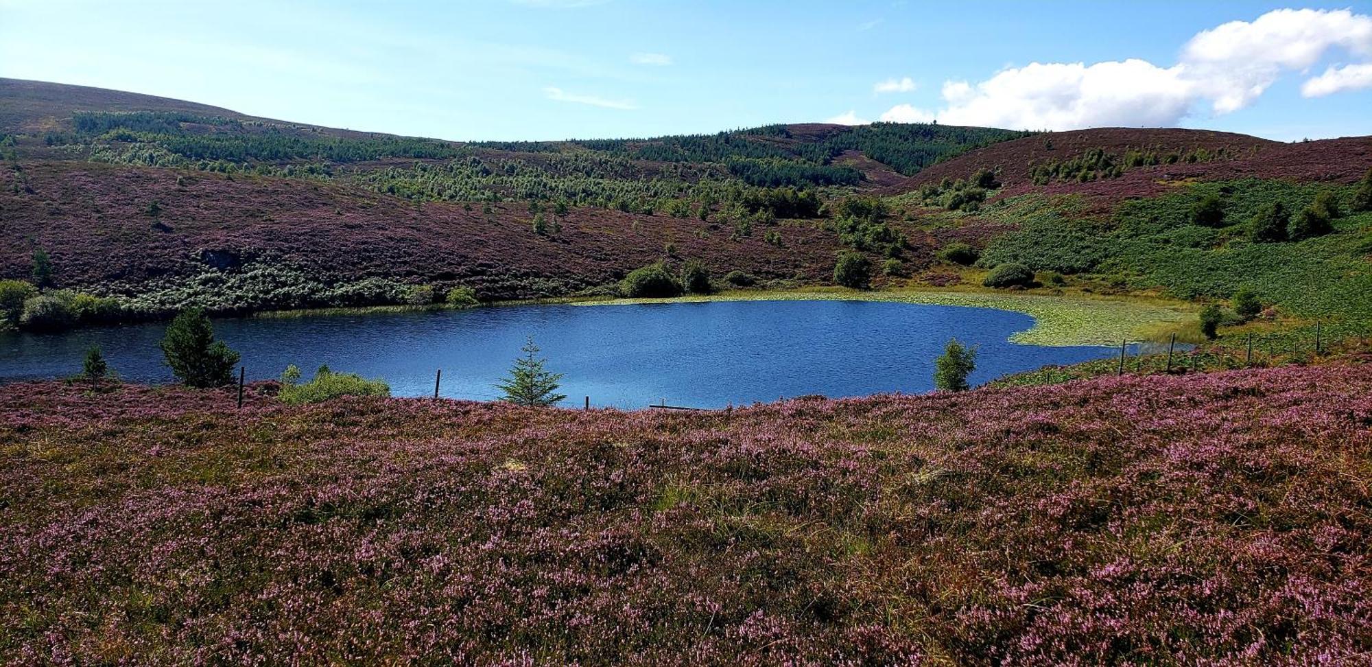 Highland Glen Lodges Rogart Ngoại thất bức ảnh