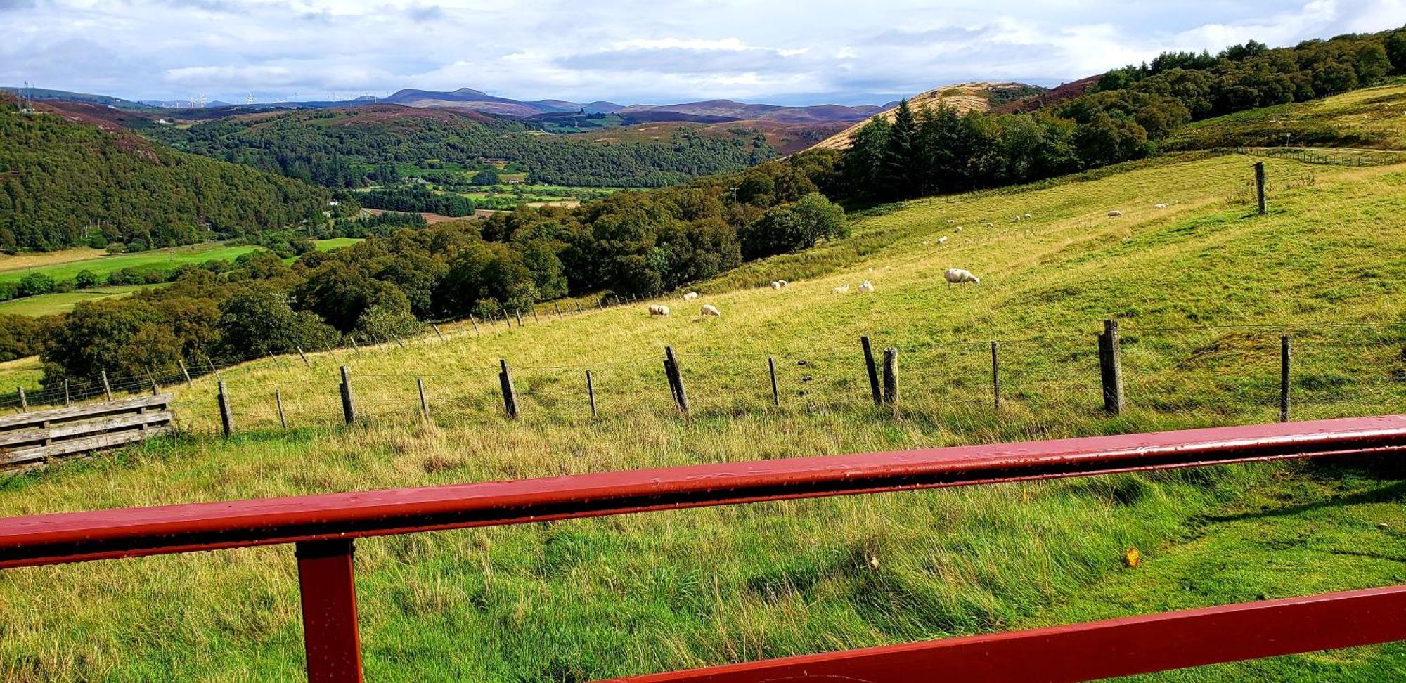 Highland Glen Lodges Rogart Ngoại thất bức ảnh